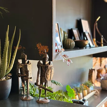 La Roche-en-ardenne, La Rive 4p Or La Foret 17p *